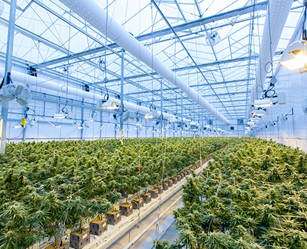cultivation facility
