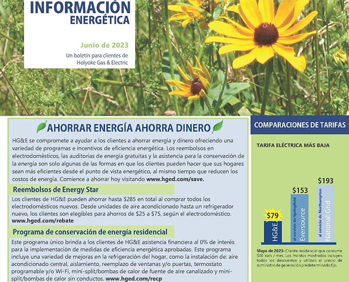 Spanish Version, June news