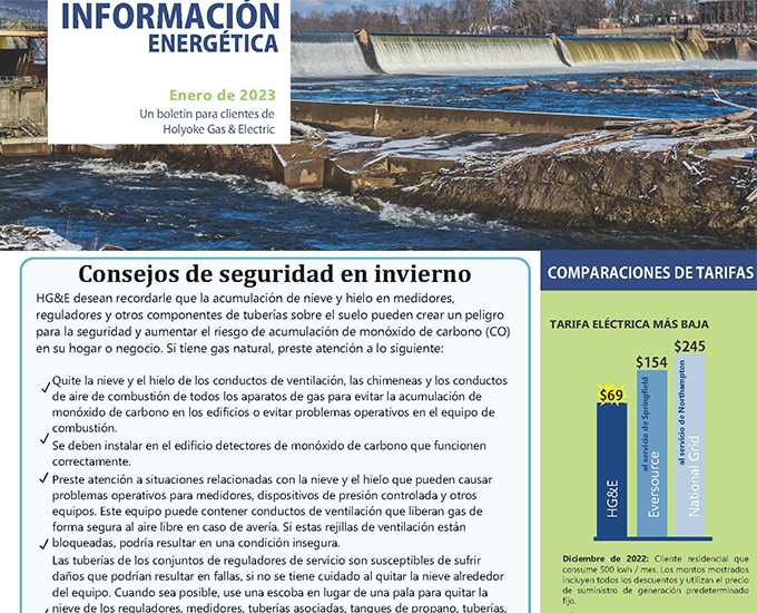January Newsletter - Spanish