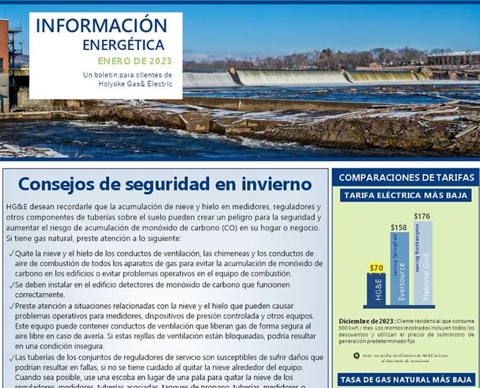 Spanish Version - January News